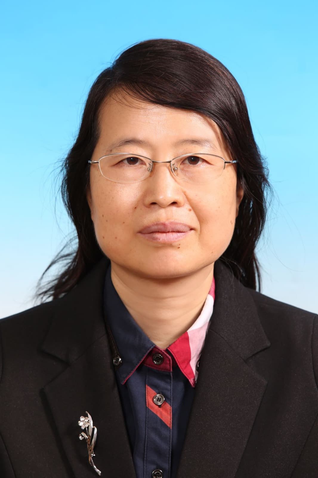 image of Prof. Jinshu Wang