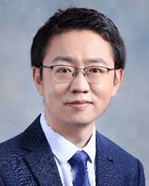 image of Prof. Qipeng Lu